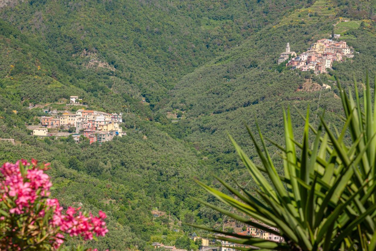Villa Dell'Erta - Levanto Montale  Dış mekan fotoğraf