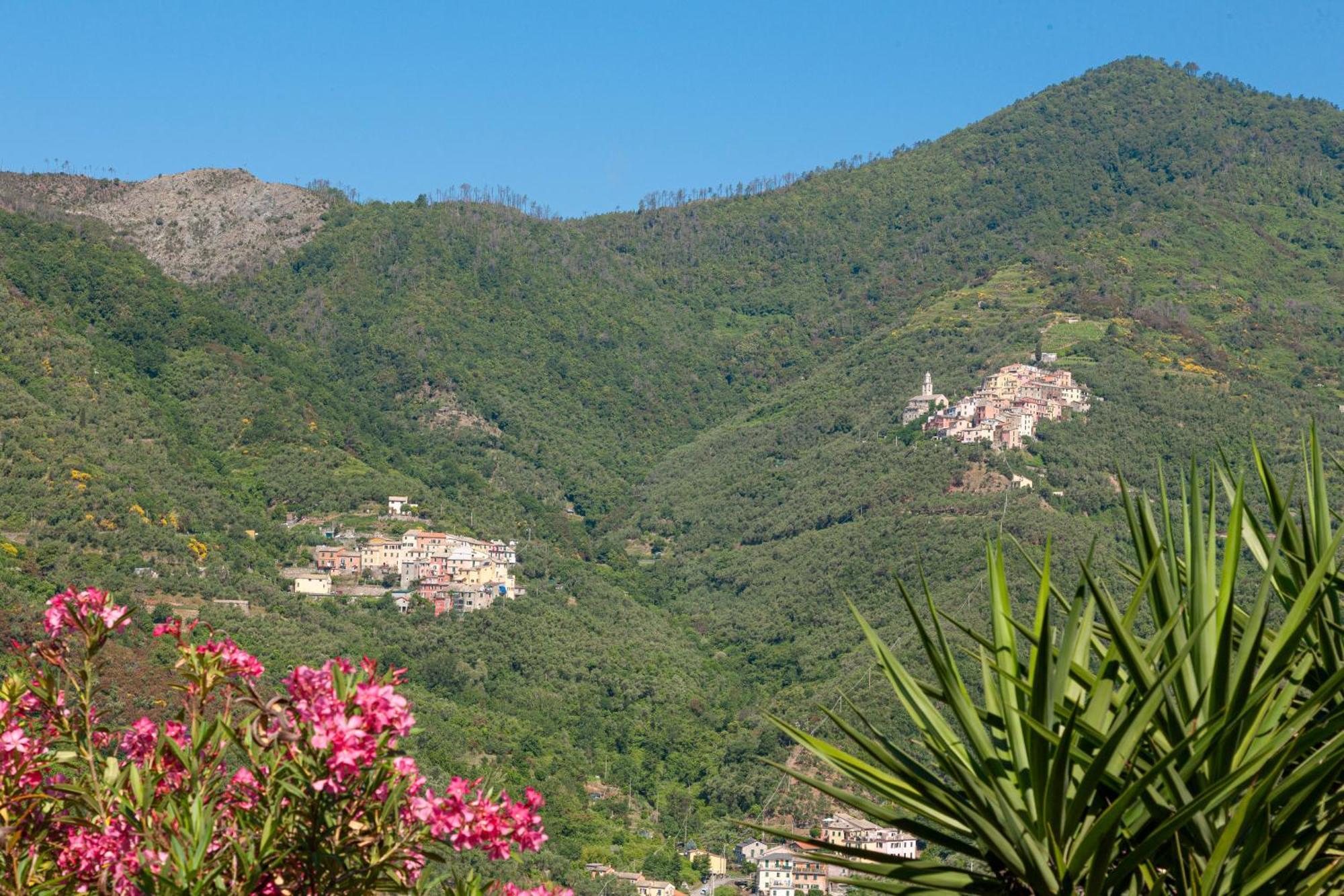 Villa Dell'Erta - Levanto Montale  Dış mekan fotoğraf